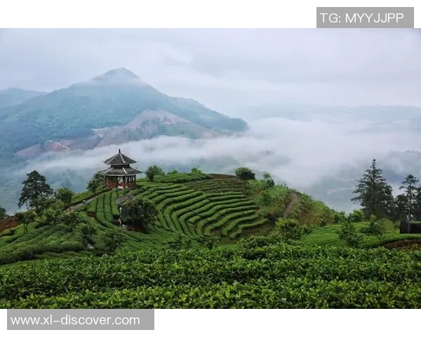 德国与智利激战正酣实况转播精彩瞬间全记录